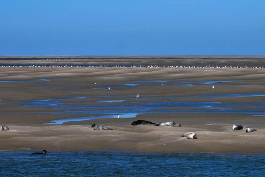 Chez Julian Belle Maison A 20 Minutes De La Baie De Somme Abbeville Luaran gambar